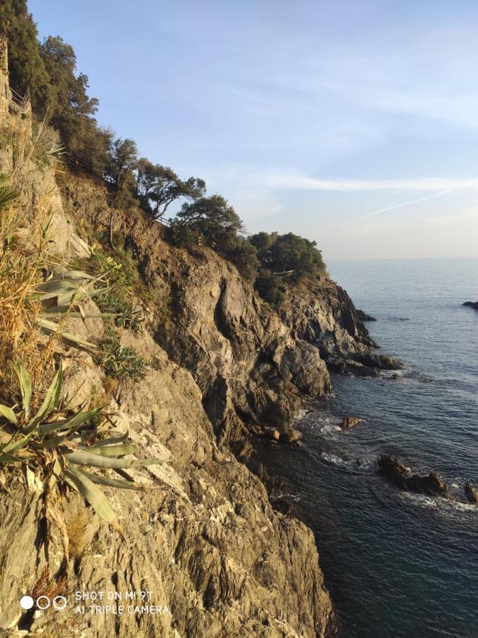 Via Verdi 5, Gli Affreschi Monterosso al Mare Exterior foto